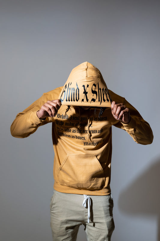 Scripture Hoodie (Brown)